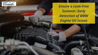 Prevent Summer Breakdowns How to Spot and Fix BMW Engine Oil Leaks ...