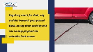 Prevent Summer Breakdowns How to Spot and Fix BMW Engine Oil Leaks ...
