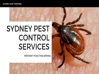 Prevent Ticks with Pest Control in Sydney
