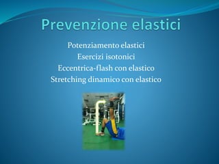 Potenziamento elastici
Esercizi isotonici
Eccentrica-flash con elastico
Stretching dinamico con elastico
 