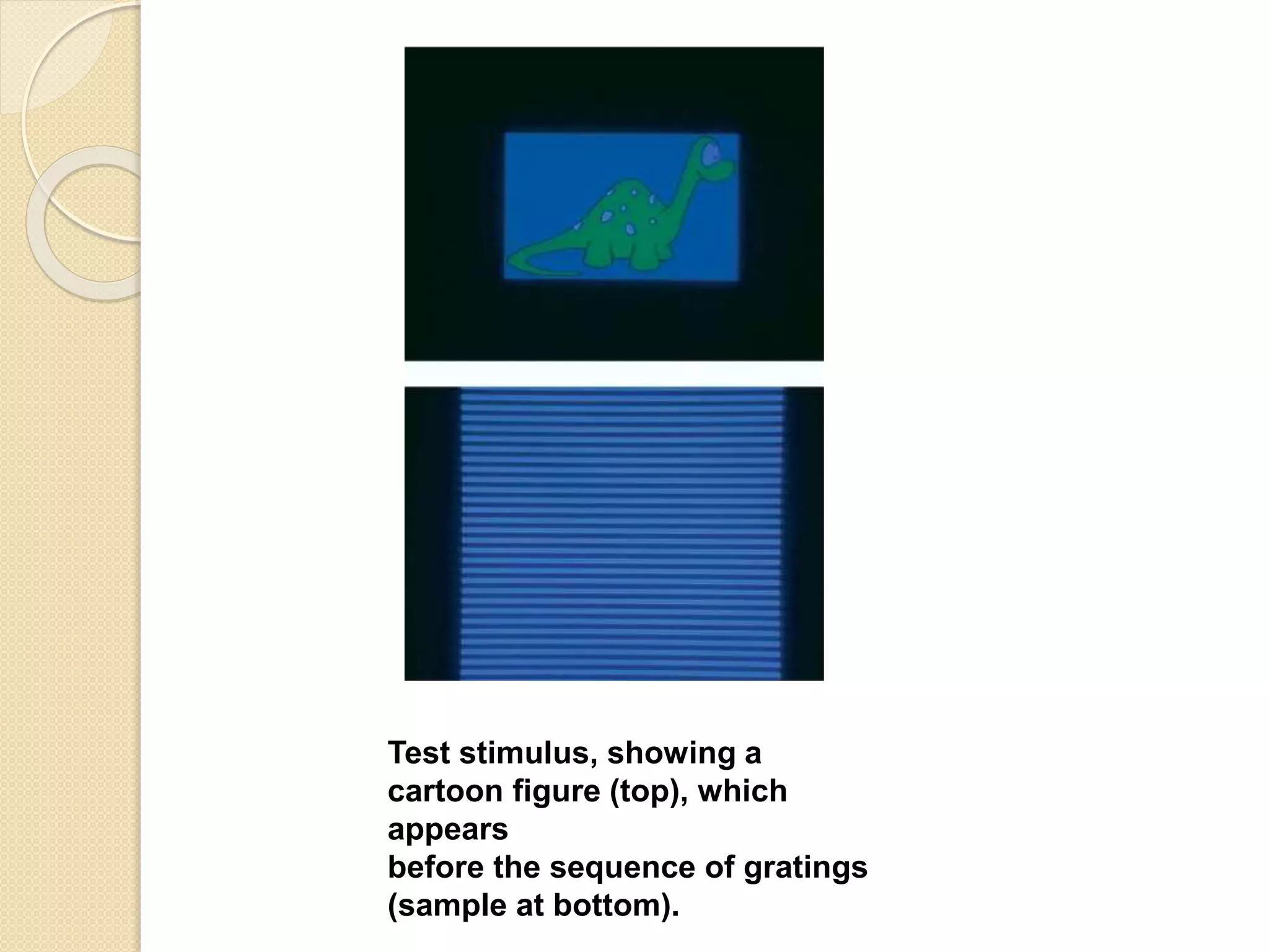 Test stimulus, showing a
cartoon figure (top), which
appears
before the sequence of gratings
(sample at bottom).
 
