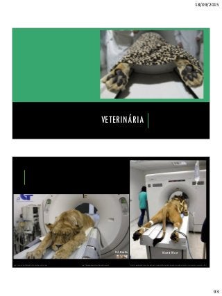 18/09/2015
93
VETERINÁRIA
BZ Berlin Bluest Blue
http://laughingsquid.com/a-lion-undergoes-computed-tomography-because-even-big-cats-need-a-cat-scan-every-once-in-a-while/http://www.bz-berlin.de/galerie-archiv/bg-ct-loewe-scan http://themetapicture.com/most-literal-cat-scan-ever/
 