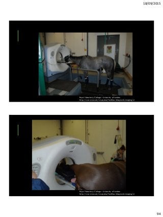 18/09/2015
94
Royal Veterinary College – University of London
http://www.rvc.ac.uk/rvc-equine/facilities/diagnostic-imaging/ct
Royal Veterinary College – University of London
http://www.rvc.ac.uk/rvc-equine/facilities/diagnostic-imaging/ct
 