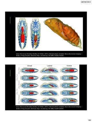 18/09/2015
98
Lowe, Garwood, Simonsen, Bradley & Withers. 2013. Metamorphosis revealed: three-dimensional imaging
inside a living chrysalis. Interface. http://dx.doi.org/10.1098/rsif.2013.0304
Lowe, Garwood, Simonsen, Bradley & Withers. 2013. Metamorphosis revealed: three-dimensional imaging
inside a living chrysalis. Interface. http://dx.doi.org/10.1098/rsif.2013.0304
 