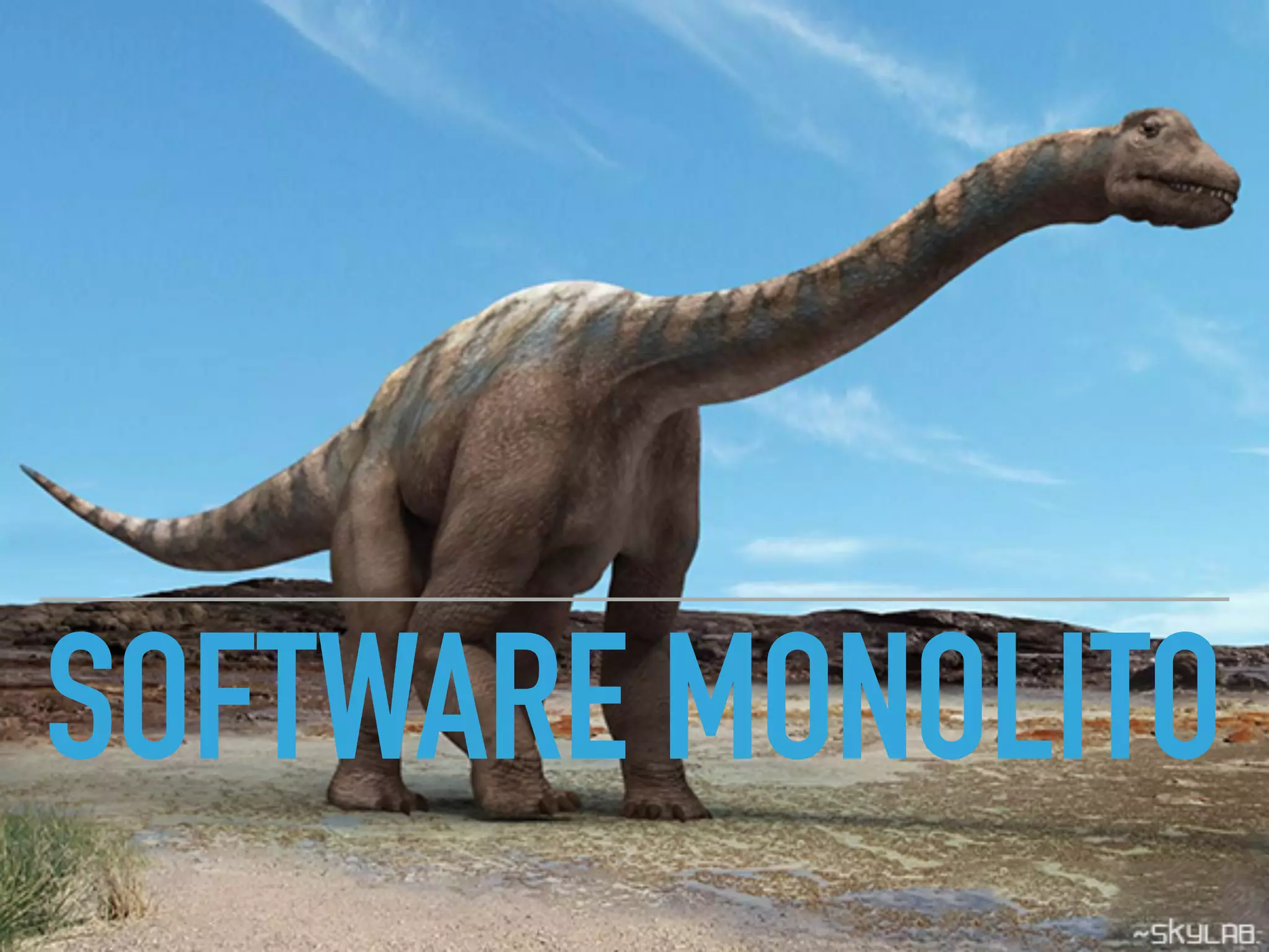 SOFTWARE MONOLITO
 