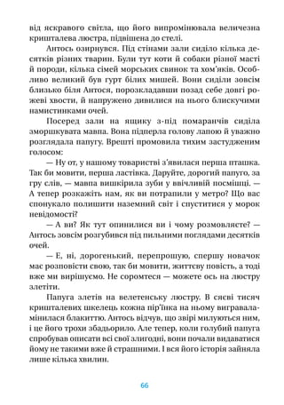 від яскравого світла, що його випромінювала величезна
кришталева люстра, підвішена до стелі.
Антось озирнувся. Під стінами зали сиділо кілька де-
сятків різних тварин. Були тут коти й  собаки різної масті
й породи, кілька сімей морських свинок та хом’яків. Особ­
ливо великий був гурт білих мишей. Вони сиділи зовсім
близько біля Антося, порозкладавши позад себе довгі ро-
жеві хвости, й напружено дивилися на нього блискучими
намистинками очей.
Посеред зали на ящику з-під помаранчів сиділа
зморшкувата мавпа. Вона підперла голову лапою й уважно
розглядала папугу. Врешті промовила тихим застудженим
голосом:
— Ну от, у нашому товаристві з’явилася перша пташка.
Так би мовити, перша ластівка. Даруйте, дорогий папуго, за
гру слів, — мавпа вишкірила зуби у ввічливій посмішці. —
А тепер розкажіть нам, як ви потрапили у метро? Що вас
спонукало полишити наземний світ і  спуститися у  морок
невідомості?
— А  ви? Як тут опинилися ви і  чому розмовляєте?  —
Антось зовсім розгубився під пильними поглядами десятків
очей.
— Е, ні, дорогенький, перепрошую, спершу новачок
має розповісти свою, так би мовити, життєву повість, а тоді
вже ми вирішуємо. Не соромтеся — можете ось на люстру
злетіти.
Папуга злетів на велетенську люстру. В  сяєві тисяч
кришталевих шкелець кожна пір’їнка на ньому вигравала-
мінилася блакиттю. Антось відчув, що звірі милуються ним,
і це його трохи збадьорило. Але тепер, коли голубий папуга
спробував описати всі свої злигодні, вони почали видаватися
йому не такими вже й страшними. І вся його історія зайняла
лише кілька хвилин.
66
 