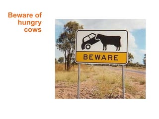 <ul><li>Beware of hungry cows </li></ul>