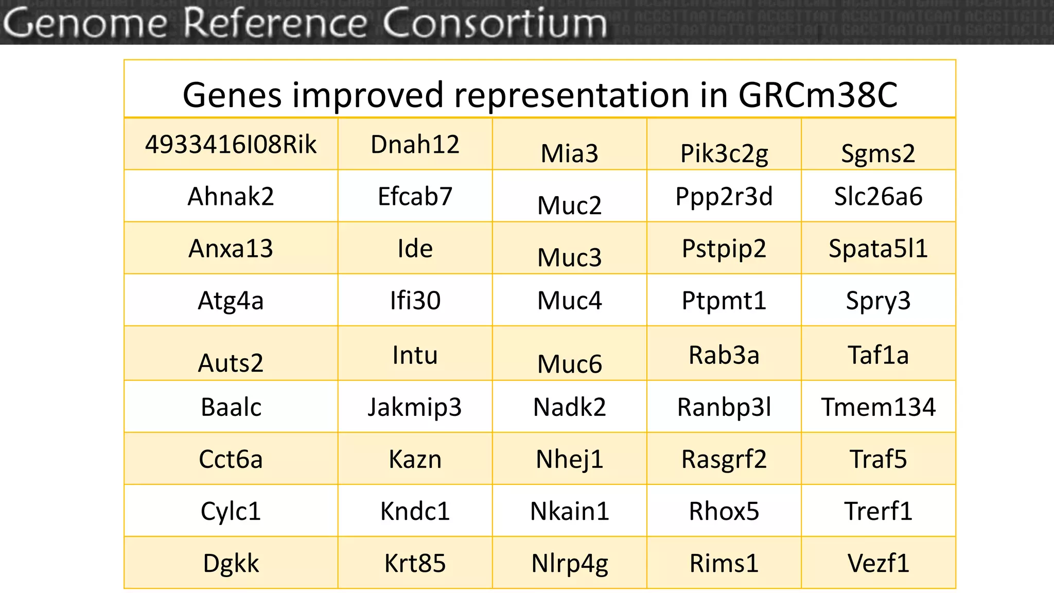 Previewing GRCm39: Assembly Updates from the GRC | PPTX