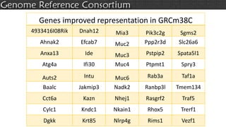 Genes improved representation in GRCm38C
4933416I08Rik Dnah12 Mia3 Pik3c2g Sgms2
Ahnak2 Efcab7 Muc2 Ppp2r3d Slc26a6
Anxa13 Ide Muc3 Pstpip2 Spata5l1
Atg4a Ifi30 Muc4 Ptpmt1 Spry3
Auts2 Intu Muc6 Rab3a Taf1a
Baalc Jakmip3 Nadk2 Ranbp3l Tmem134
Cct6a Kazn Nhej1 Rasgrf2 Traf5
Cylc1 Kndc1 Nkain1 Rhox5 Trerf1
Dgkk Krt85 Nlrp4g Rims1 Vezf1
 