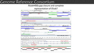Assembly gap closure and complete
representation of Efcab7
 