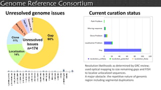 Unresolved genome issues Current curation status
Resolution likelihoods as determined by GRC review;
used optical mapping to size remaining gaps and FISH
to localize unlocalized sequences.
A major obstacle: the repetitive nature of genomic
region including segmental duplications
 