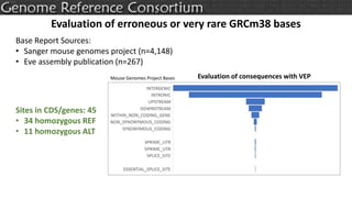Evaluation of consequences with VEPMouse Genomes Project Bases
Sites in CDS/genes: 45
• 34 homozygous REF
• 11 homozygous ALT
21187386
Evaluation of erroneous or very rare GRCm38 bases
Base Report Sources:
• Sanger mouse genomes project (n=4,148)
• Eve assembly publication (n=267)
 