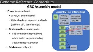 • Primary assembly unit:
• C57BL/6J chromosomes
• Unlocalized and unplaced scaffolds
(scaffold: O/O set of contigs)
• Strain-specific assembly units:
• Seq from clones representing
other strains, regions needing
additional representation
• Patches assembly unit
GRC Assembly model
 