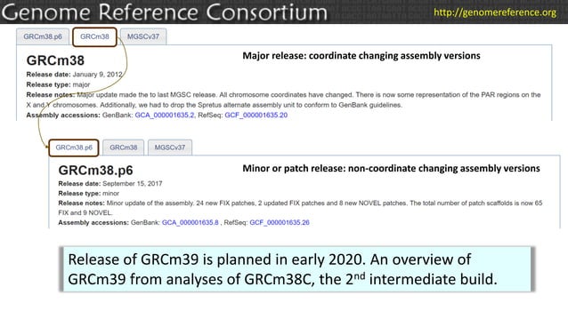 Previewing GRCm39: Assembly Updates from the GRC | PPTX