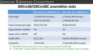 GRCm38 (GCF_000001635.20) GRCm38C (GCF_008087425.1)
Total length 2,730,855,475 (Primary)
2,793,712,140 (all)
2,733,095,204 (Primary)
2,798,405,461 (all)
Total assembly gap length 79,291,755 (all) 78,606,933 (all)
# gaps between scaffolds 191 151
# gaps within scaffolds 443 213
Scaffold N50 54,517,951 100,923,795 (85% increase)
Contig N50 32,273,079 57,461,838 (78% increase)
 GRCm38C has fewer gaps and is more contiguous as compared to GRCm38
 In GRCm38C: 5 single scaffold chrs (11,12,15,16,18), 11 built from 2 scaffolds, 5 built >2 scaffolds
GRCm38/GRCm38C assemblies stats
 