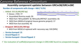Assembly component updates between GRCm38/GRCm38C
Number of components with change = 666 (~3.2%)
o Added: 315 (6,640,992 bp)
 Clones + PCR: 77
 Assembled Illumina reads: 95
 WGS from 'MmusSOAP1’ & 'MmusALLPATHS2’ assemblies: 81
 WGS from MGSCv3 (original mouse genome project): 17
 WGS from Eve assembly: 45
o Dropped: 330 (3,555,784 bp)
 WGS from MGSCv3 replaced with >accuracy seq: 310 (94%)
o Version bumped: 15
o Strand flipped: 4
o Version bumped + Strand flipped: 2
 Our evaluation of scaffold/component changes in GRCm38C found no unexpected changes.
 