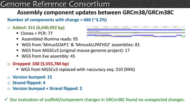 Previewing GRCm39: Assembly Updates from the GRC | PPTX
