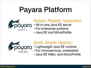 Payara Platform
Robust. Reliable. Supported.
• All-in-one Java EE server

• For enterprise systems

• Java EE and MicroPro...