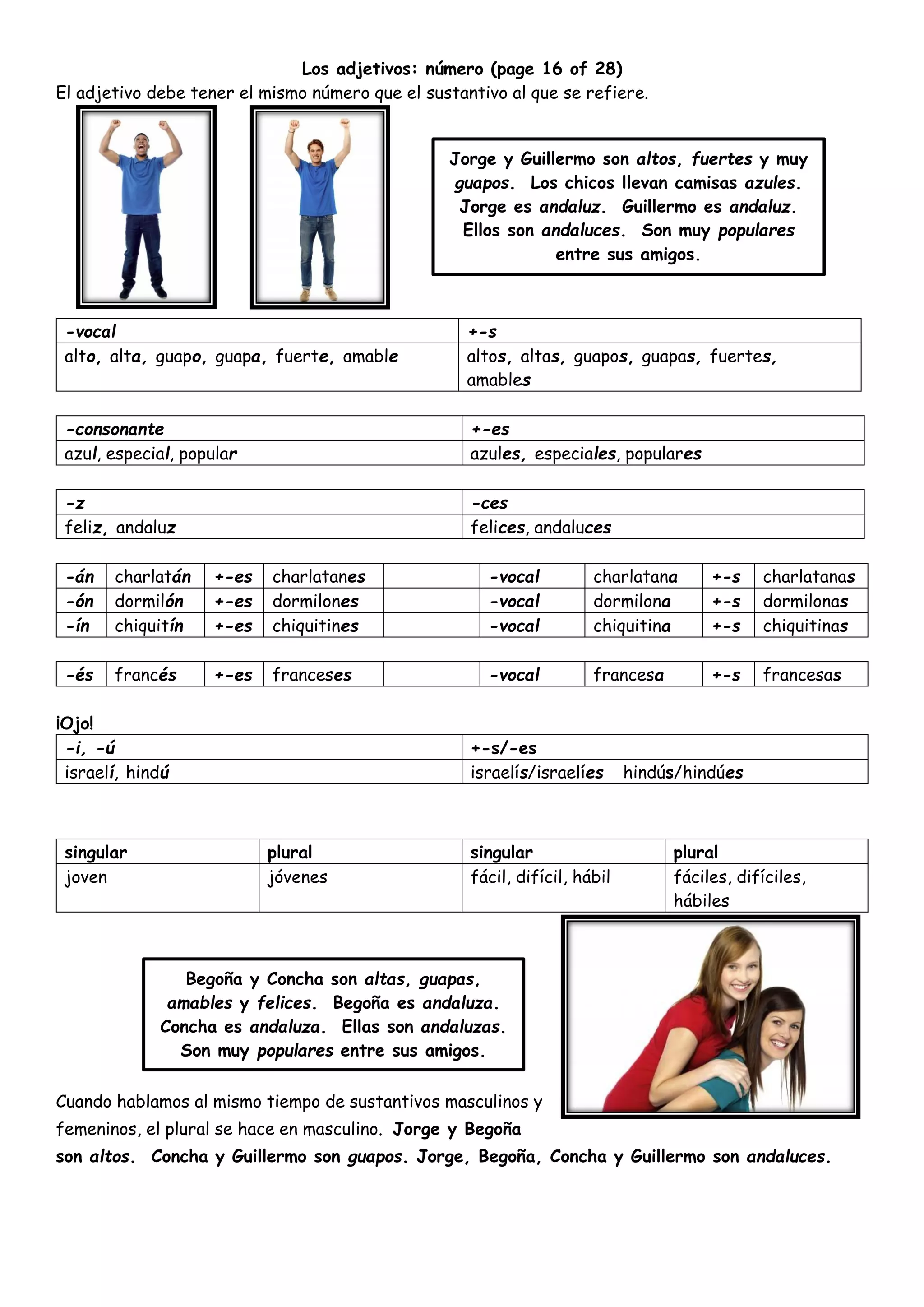 Los adjetivos: número (page 16 of 28)
El adjetivo debe tener el mismo número que el sustantivo al que se refiere.
-vocal +-s
alto, alta, guapo, guapa, fuerte, amable altos, altas, guapos, guapas, fuertes,
amables
-consonante +-es
azul, especial, popular azules, especiales, populares
-z -ces
feliz, andaluz felices, andaluces
-án charlatán +-es charlatanes -vocal charlatana +-s charlatanas
-ón dormilón +-es dormilones -vocal dormilona +-s dormilonas
-ín chiquitín +-es chiquitines -vocal chiquitina +-s chiquitinas
-és francés +-es franceses -vocal francesa +-s francesas
¡Ojo!
-i, -ú +-s/-es
israelí, hindú israelís/israelíes hindús/hindúes
Cuando hablamos al mismo tiempo de sustantivos masculinos y
femeninos, el plural se hace en masculino. Jorge y Begoña
son altos. Concha y Guillermo son guapos. Jorge, Begoña, Concha y Guillermo son andaluces.
singular plural singular plural
joven jóvenes fácil, difícil, hábil fáciles, difíciles,
hábiles
Jorge y Guillermo son altos, fuertes y muy
guapos. Los chicos llevan camisas azules.
Jorge es andaluz. Guillermo es andaluz.
Ellos son andaluces. Son muy populares
entre sus amigos.
Begoña y Concha son altas, guapas,
amables y felices. Begoña es andaluza.
Concha es andaluza. Ellas son andaluzas.
Son muy populares entre sus amigos.
 