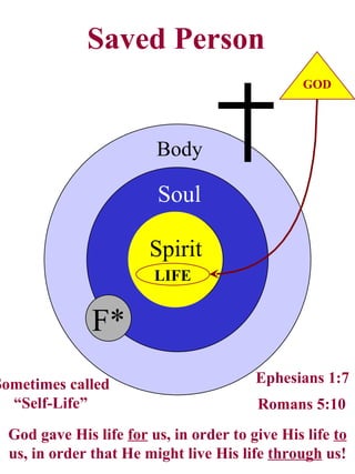 Preview Of Grace Life Conference Preview Of Grace Life Conference