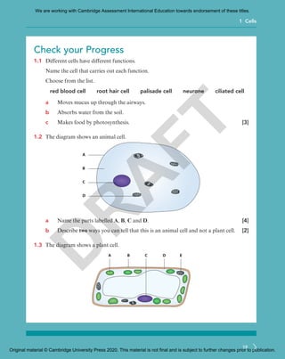 Preview_Science_stage7-9_Lower_Secondary_School.pdf