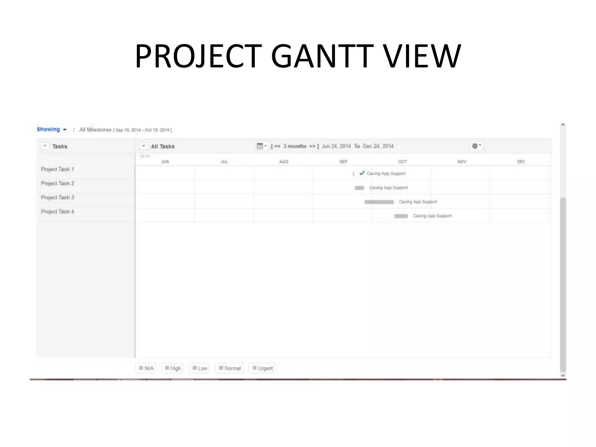 PROJECT GANTT VIEW