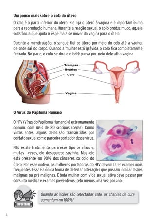 Um pouco mais sobre o colo do útero
    O colo é a parte inferior do útero. Ele liga o útero à vagina e é importantíssimo
    para a reprodução humana. Durante a relação sexual, o colo produz muco, aquela
    substância que ajuda o esperma a se mover da vagina para o útero.

    Durante a menstruação, o sangue flui do útero por meio do colo até a vagina,
    de onde sai do corpo. Quando a mulher está grávida, o colo fica completamente
    fechado. No parto, o colo se abre e o bebê passa por meio dele até a vagina.




    O Vírus do Papiloma Humano

    O HPV (Vírus do Papiloma Humano) é extremamente
    comum, com mais de 80 subtipos (cepas). Como
    vimos antes, alguns deles são transmitidos por
    contato sexual com o parceiro portador desse vírus.

    Não existe tratamento para esse tipo de vírus e,
    muitas vezes, ele desaparece sozinho. Mas ele
    está presente em 90% dos cânceres do colo do
    útero. Por esse motivo, as mulheres portadoras do HPV devem fazer exames mais
    frequentes. Essa é a única forma de detectar alterações que possam indicar lesões
    malignas ou pré-malignas. E toda mulher com vida sexual ativa deve passar por
    consulta médica e exames preventivos, pelo menos uma vez por ano.


                     Quando as lesões são detectadas cedo, as chances de cura
                     aumentam em 100%!


2
 