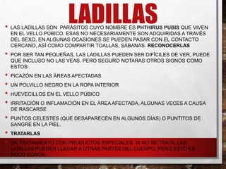 LADILLAS
• LAS LADILLAS SON PARÁSITOS CUYO NOMBRE ES PHTHIRUS PUBIS QUE VIVEN
EN EL VELLO PÚBICO. ESAS NO NECESARIAMENTE SON ADQUIRIDAS A TRAVÉS
DEL SEXO, EN ALGUNAS OCASIONES SE PUEDEN PASAR CON EL CONTACTO
CERCANO, ASÍ COMO COMPARTIR TOALLAS, SÁBANAS. RECONOCERLAS
• POR SER TAN PEQUEÑAS, LAS LADILLAS PUEDEN SER DIFÍCILES DE VER, PUEDE
QUE INCLUSO NO LAS VEAS. PERO SEGURO NOTARAS OTROS SIGNOS COMO
ESTOS:
• PICAZÓN EN LAS ÁREAS AFECTADAS
• UN POLVILLO NEGRO EN LA ROPA INTERIOR
• HUEVECILLOS EN EL VELLO PÚBICO
• IRRITACIÓN O INFLAMACIÓN EN EL ÁREA AFECTADA, ALGUNAS VECES A CAUSA
DE RASCARSE
• PUNTOS CELESTES (QUE DESAPARECEN EN ALGUNOS DÍAS) O PUNTITOS DE
SANGRE EN LA PIEL.
• TRATARLAS
• UN TRATAMIENTO CON PRODUCTOS ESPECIALES. SI NO SE TRATA, LAS
LADILLAS PUEDEN LLEGAR A OTRAS PARTES DEL CUERPO, PERO ESTO ES
POCO COMÚN.
 