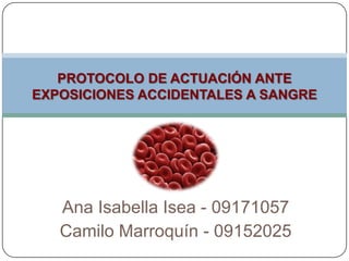 PROTOCOLO DE ACTUACIÓN ANTE
EXPOSICIONES ACCIDENTALES A SANGRE




   Ana Isabella Isea - 09171057
   Camilo Marroquín - 09152025
 