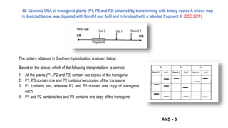 40. Genomic DNA of transgenic plants (P1, P2 and P3) obtained by transforming with binary vector A whose map
is depicted below, was digested with BamH I and Sal I and hybridized with a labelled fragment X. (DEC 2011)
The pattern obtained in Southern hybridization is shown below:
Based on the above, which of the following interpretations is correct:
1. All the plants (P1, P2 and P3) contain two copies of the transgene
2. P1, P3 contain one and P2 contains two copies of the transgene
3. P1 contains two, whereas P2 and P3 contain one copy of transgene
each
4. P1 and P2 contains two and P3 contains one copy of the transgene
ANS - 3
 
