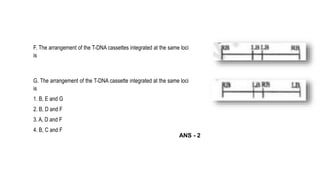 F. The arrangement of the T-DNA cassettes integrated at the same loci
is
G. The arrangement of the T-DNA cassette integrated at the same loci
is
1. B, E and G
2. B, D and F
3. A, D and F
4. B, C and F
ANS - 2
 