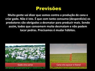 Previsões
  Muita gente vai dizer que somos contra a produção de cana e
criar gado. Não é isto. É que com tanto consumo (desperdício) os
produtores são obrigados a desmatar para produzir mais. Sendo
   assim, todos que consomem muito desmatam e não podem
            tacar pedras. Precisamos é mudar hábitos.




         Gado vira carne              Cana vira açúcar e Etanol
 