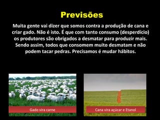 Previsões
Muita gente vai dizer que somos contra a produção de cana e
criar gado. Não é isto. É que com tanto consumo (desperdício)
os produtores são obrigados a desmatar para produzir mais.
Sendo assim, todos que consomem muito desmatam e não
podem tacar pedras. Precisamos é mudar hábitos.
Gado vira carneGado vira carne Cana vira açúcar e EtanolCana vira açúcar e Etanol
 