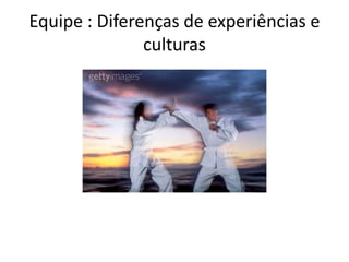 Equipe : Diferenças de experiências e culturas