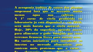 A aeroponia (cultivo de raízes das plantasA aeroponia (cultivo de raízes das plantas
suspensas) fará que se necessite muitosuspensas) fará que se necessite muito
menos água nos cultivos.menos água nos cultivos.
A 1ª carne de vitela produzida enA 1ª carne de vitela produzida en
laboratorio já está disponivel e, em 2018,laboratorio já está disponivel e, em 2018,
será mais barata que a vitela natural.será mais barata que a vitela natural.
Hoje, 30% da superficie agrícola usa-seHoje, 30% da superficie agrícola usa-se
para alimentar o gado. Imagina que essespara alimentar o gado. Imagina que esses
terrenos ficassem livres para outros usos.terrenos ficassem livres para outros usos.
Há varias iniciativas para introduzir osHá varias iniciativas para introduzir os
insectos no mercado alimenticio, poisinsectos no mercado alimenticio, pois
conteem máis proteínas que a carne.conteem máis proteínas que a carne.
 