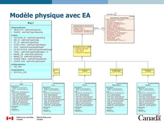 Modèle physique avec EA

 