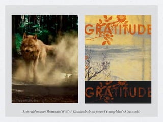 !                            !
Lobo del monte (Mountain Wolf) / Gratitude de un joven (Young Man’s Gratitude)
 