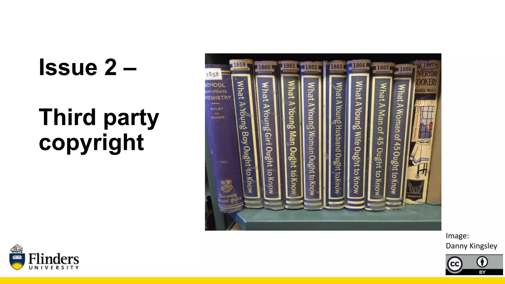 Issue 2 –
Third party
copyright
Image:
Danny Kingsley
 