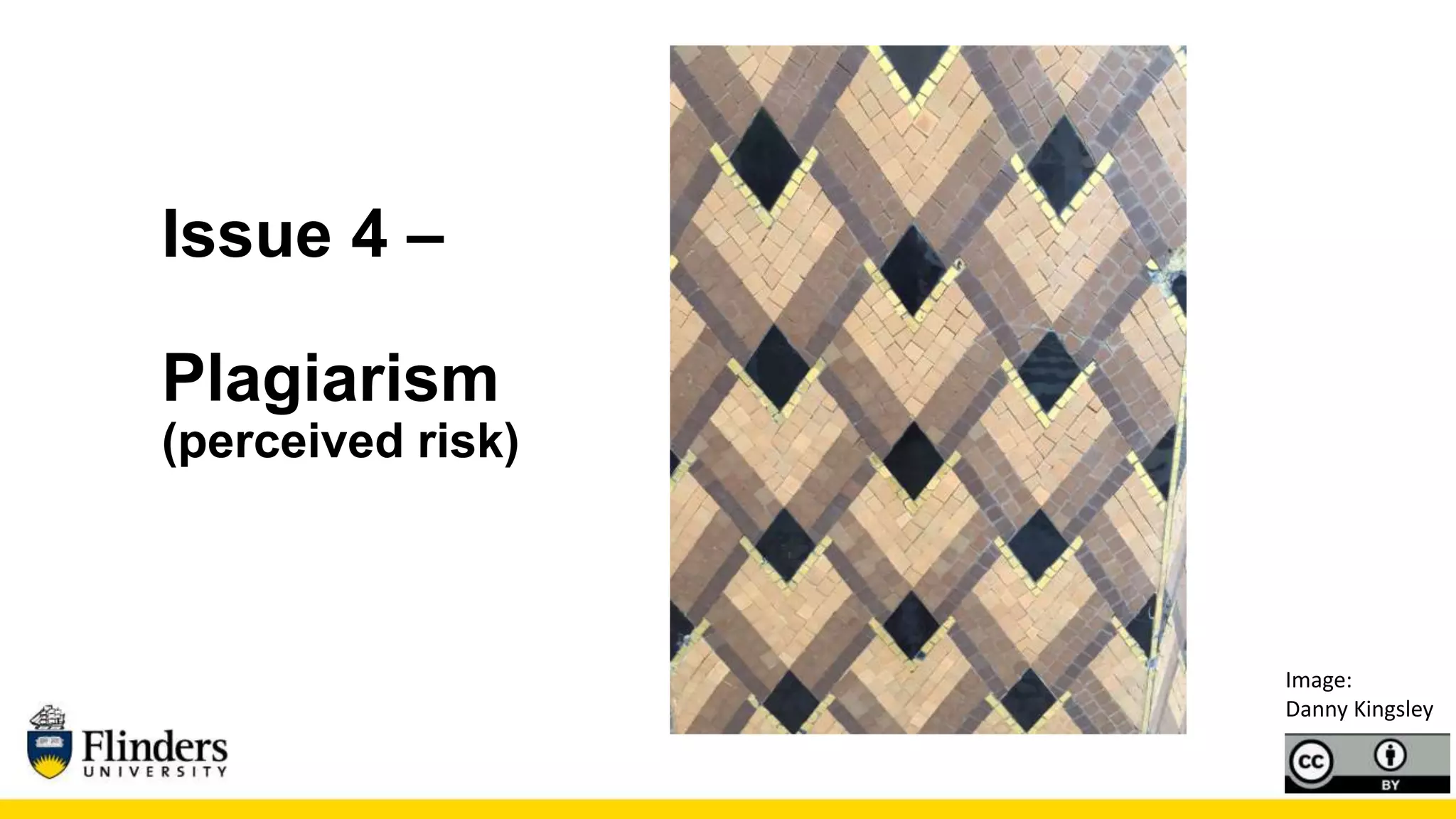 Issue 4 –
Plagiarism
(perceived risk)
Image:
Danny Kingsley
 