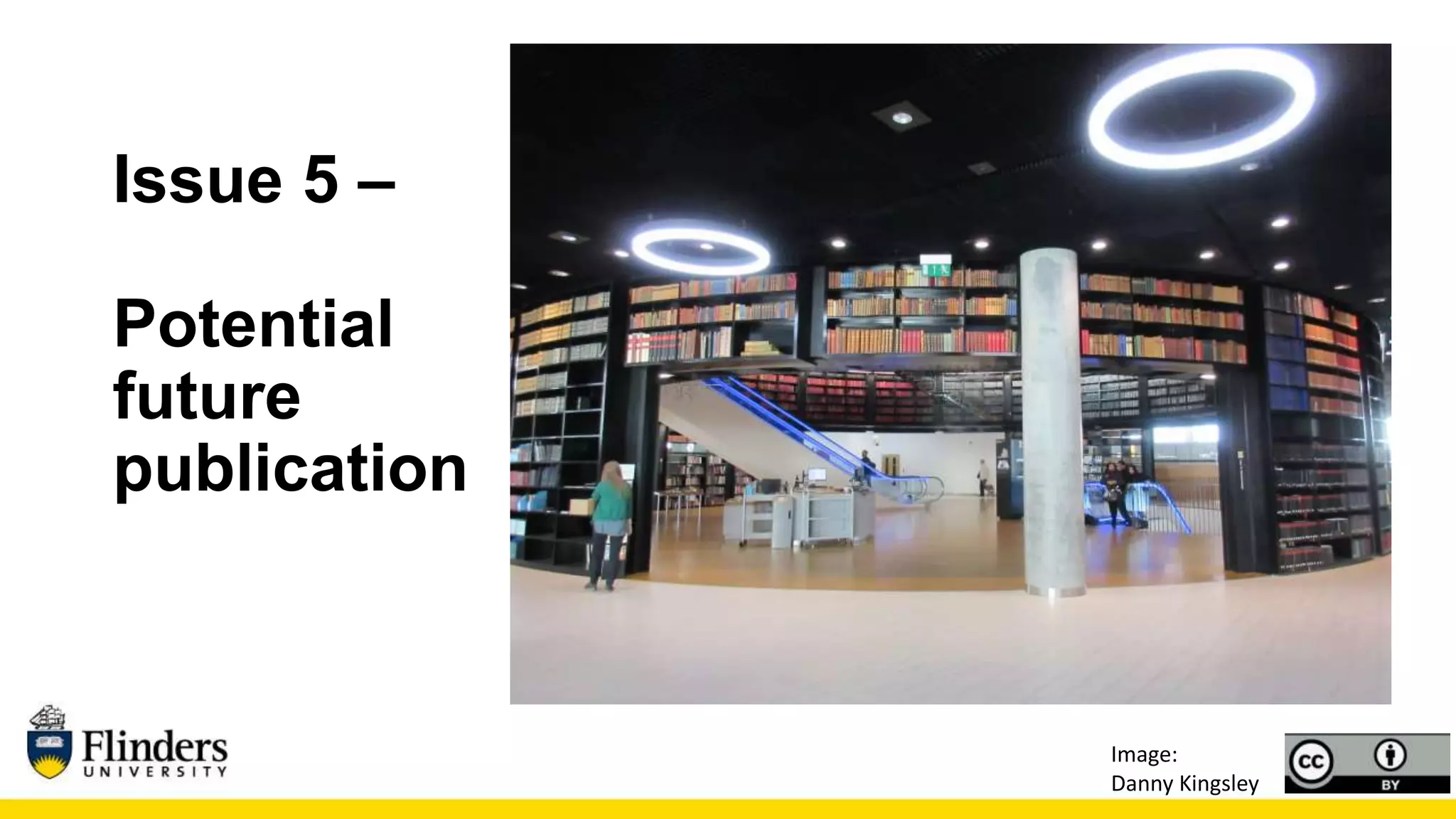 Issue 5 –
Potential
future
publication
Image:
Danny Kingsley
 