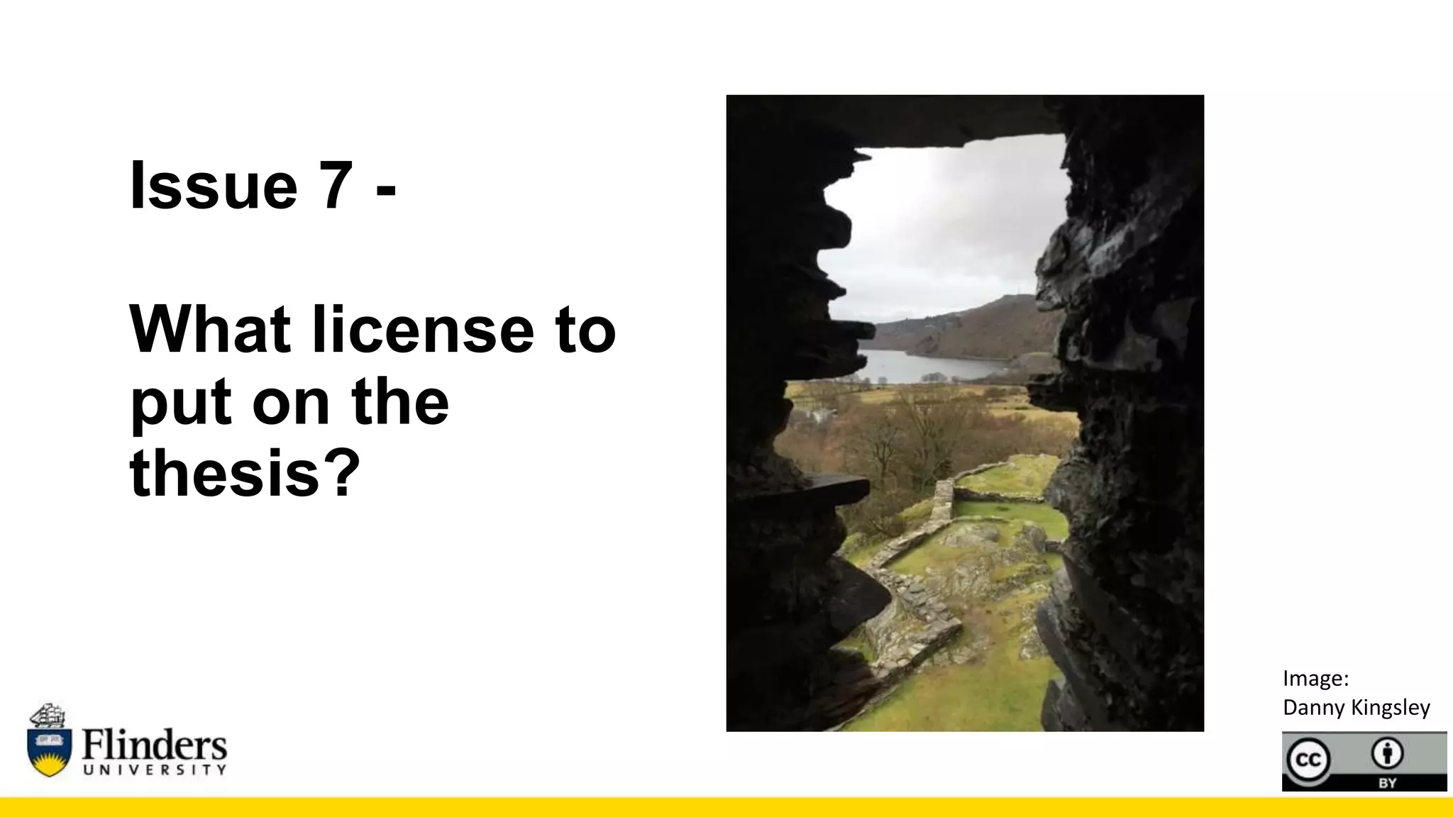 Issue 7 -
What license to
put on the
thesis?
Image:
Danny Kingsley
 