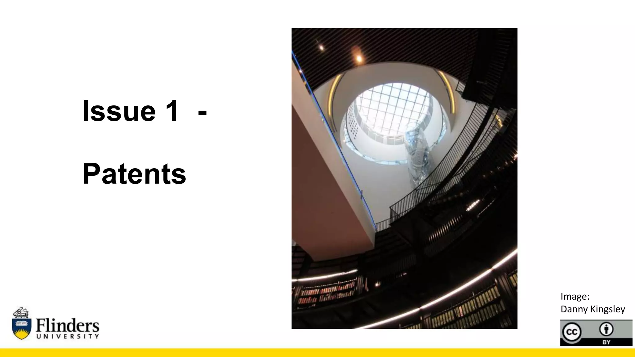 Issue 1 -
Patents
Image:
Danny Kingsley
 