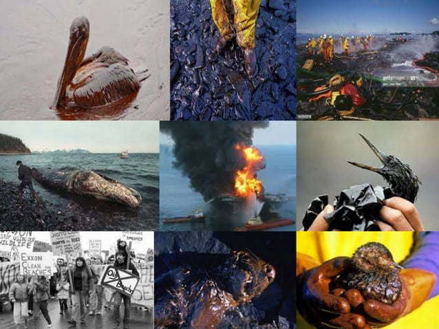 Exxon Oil Spill mistakes in public relations | PPTX | Logistics | Business
