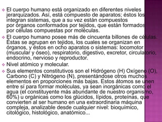El cuerpo humano está organizado en diferentes niveles
jerarquizados. Así, está compuesto de aparatos; éstos los
integran sistemas, que a su vez están compuestos
por órganos conformados por tejidos, que están formados
por células compuestas por moléculas.
 El cuerpo humano posee más de cincuenta billones de células.
Éstas se agrupan en tejidos, los cuales se organizan en
órganos, y éstos en ocho aparatos o sistemas: locomotor
(muscular y óseo), respiratorio, digestivo, excretor, circulatorio,
endocrino, nervioso y reproductor.
 Nivel atómico y molecular.
 Sus elementos constitutivos son el Hidrógeno (H) Oxígeno (O),
Carbono (C) y Nitrógeno (N), presentándose otros muchos
elementos en proporciones más bajas. Estos átomos se unen
entre sí para formar moléculas, ya sean inorgánicas como el
agua (el constituyente más abundante de nuestro organismo,
60%) u orgánicas como los glúcidos, lípidos, proteínas, que
convierten al ser humano en una extraordinaria máquina
compleja, analizable desde cualquier nivel: bioquímico,
citológico, histológico, anatómico...


 