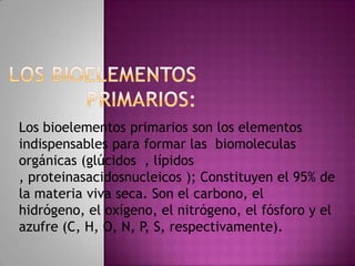 Los bioelementos primarios son los elementos
indispensables para formar las biomoleculas
orgánicas (glúcidos , lípidos
, proteinasacidosnucleicos ); Constituyen el 95% de
la materia viva seca. Son el carbono, el
hidrógeno, el oxígeno, el nitrógeno, el fósforo y el
azufre (C, H, O, N, P, S, respectivamente).

 