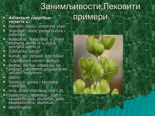 Занимљивости,Лековити
   Adiantum cappillus-
    veneris L.
                        примери
   Narodni naziv: venerine vlasi
   Stanište: raste pored izvora i
    potočića
   Nalazište: Nalazište: u Srbiji
    poznata samo iz u Srbiji
    poznata samo iz
   Zvonačke banje
   Koristi se: zeljasti deo biljke
   (Capillorum veneri herba)
   Berba: Berba: odsecaju se
    zeljasti nadzemni odsecaju se
    zeljasti nadzemni
   delovi
   Sastojci: gorke i taninske
    materije,
   sluz, malo etarskog ulja i dr.
   Upotreba: Upotreba: slab
    ekspektorans, diuretuk, slab
    ekspektorans, diuretuk,
   adstringens
 