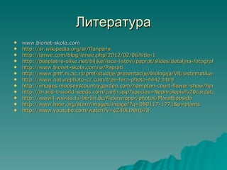 Литература
   www.bionet-skola.com
   http://sr.wikipedia.org/sr/Папрати
   http://larwe.com/blog/larwe.php/2012/02/06/title-1
   http://besplatne-slike.net/biljke/lisce-listovi/paprat/slides/detaljna-fotografija-lis
   http://www.bionet-skola.com/w/Paprati
   http://www.pmf.ni.ac.rs/pmf/studije/prezentacije/biologija/VR/sistematika-visih-
   http://www.naturephoto-cz.com/tree-fern-photo-4442.html
   http://images.mooseyscountrygarden.com/hampton-court-flower-show/hampton
   http://b-and-t-world-seeds.com/carth.asp?species=Nephrolepis%20cordata&sref
   http://www4.wiwiss.fu-berlin.de/flickrwrappr/photos/Marattiopsida
   http://www.hear.org/starr/images/image/?q=080117-1771&o=plants
   http://www.youtube.com/watch?v=eZ40LDWt678
 