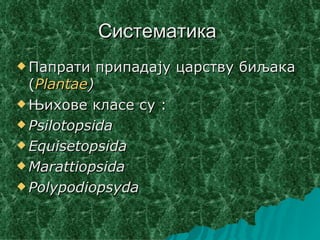 Систематика
 Папрати   припадају царству биљака
  (Plantae)
 Њихове класе су :

 Psilotopsida

 Equisetopsida

 Marattiopsida

 Polypodiopsyda
 