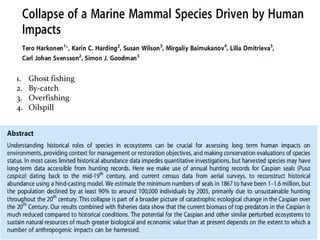 1. Ghost fishing
2. By-catch
3. Overfishing
4. Oilspill
 