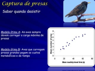 Consumo de presas
 Preparo ótimo de alimento

Exemplo:
 Desde qual altura os corvos devem
  soltar os moluscos grandes par...